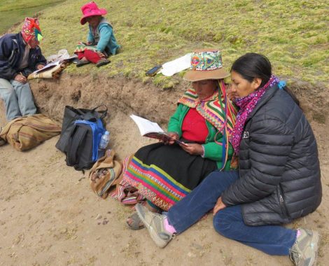 Visita y acompañamiento para verificar su aprendizaje.